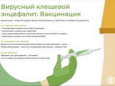 Осторожно, клещи!