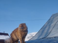 Александр Горохов: «Весна в городе»