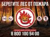 В 2026 году с 15 марта по 30 сентября в России пройдет Федеральная информационная противопожарная кампания «Останови огонь!»
