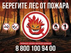 В 2026 году с 15 марта по 30 сентября в России пройдет Федеральная информационная противопожарная кампания «Останови огонь!»