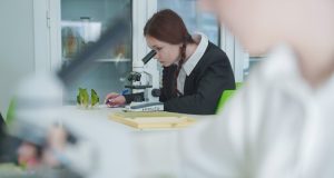 Ивановским школьникам помогут подготовиться к ЕГЭ по предметам естественно-научного цикла