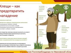 Как избежать укуса клеща?