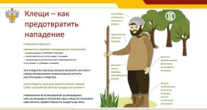 Как избежать укуса клеща?