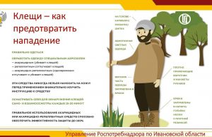 Как избежать укуса клеща?