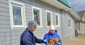 В регионе стартовала выездная вакцинация против бешенства — 2026