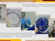 В Ивановской области регистрируют случаи укусов клещей