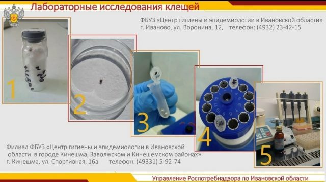 mk1msgGsdmV_30nePuLBEWCJdMEMwa3-xZkTZUtqdM2qfrHPjpDipmu3j4y0xzJ0by2WsHzvHzuIMtWd7Qb8xjxT