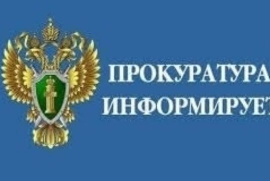 Россияне могут оформить гражданство ребенка через Госуслуги