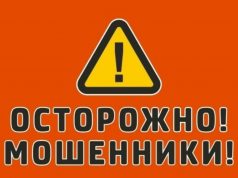 Новые «жертвы» мошенников – владельцы домашних животных