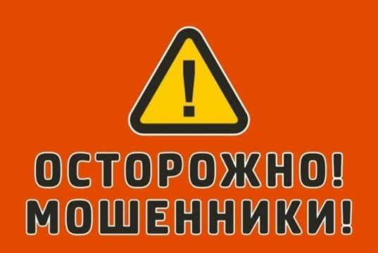 Новые «жертвы» мошенников – владельцы домашних животных