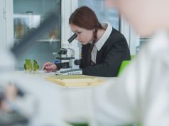 Итоги первых Единых государственных экзаменов: в Ивановской области – 10 стобалльных результатов