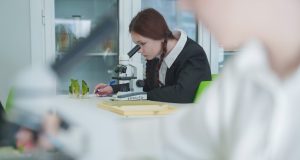 Итоги первых Единых государственных экзаменов: в Ивановской области – 10 стобалльных результатов