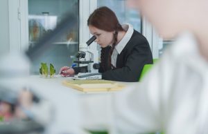 Итоги первых Единых государственных экзаменов: в Ивановской области – 10 стобалльных результатов