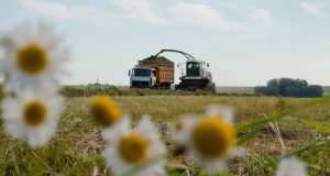 В регионе стартовала кормозаготовительная кампания