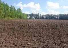В Ивановском округе устранено выявленное ранее нарушение земельного законодательства