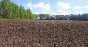 В Ивановском округе устранено выявленное ранее нарушение земельного законодательства