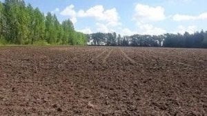 В Ивановском округе устранено выявленное ранее нарушение земельного законодательства
