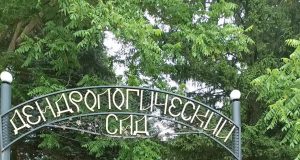 Путешествие в Переславль – Залесский: дендрологический сад им. С. Ф. Харитонова
