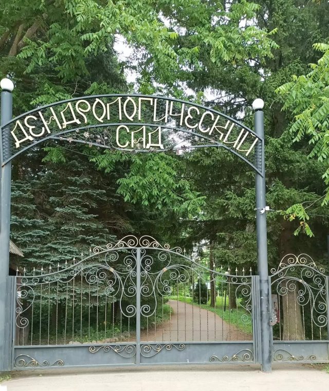 дендрологический сад