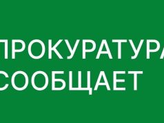 Организация складировала спиленные ветки деревьев во дворе жилого дома и на детской площадке в Кохме
