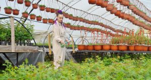 В Ивановской области по итогам конкурсного отбора 14 фермеров, в том числе из Ивановского округа, получили господдержку на развитие сельхозпроизводства