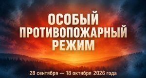 В Ивановской области введён особый противопожарный режим