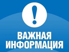 В Ивановской области будет работать горячая линия по вопросам нового учебного года