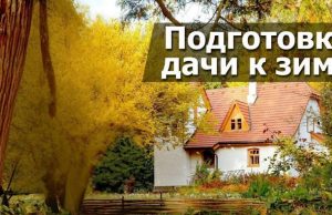 Готовим дачу к зиме