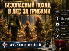 Главное управление МЧС России по Ивановской области напоминает простые правила, которые помогут сделать поход за грибами безопасным