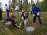 Сегодня День работников леса
