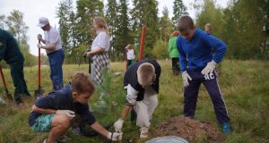Сегодня День работников леса