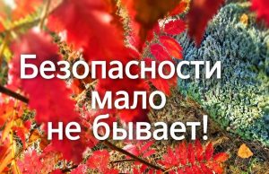 Эксплуатация маломерных судов в осенний период должна осуществляться с максимальной осторожностью и с соблюдением всех норм безопасности