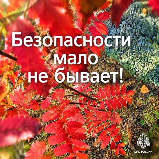 ruZt7dPV2mfBGNfaUmFuAnEi5ioeMg7VM4kMV4aQjdlPrpi6Y1qIfuGyjwVEr3rC0zaZ0UQJuoTNgFD3J5YIxwaY