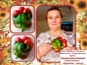 Нина Козлова вырастила перец -«кошачью лапку»