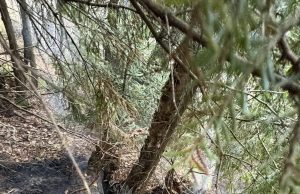 Торфяной пожар был зафиксирован в понедельник, 19 октября, вблизи населенного пункта Афанасово Ивановского округа