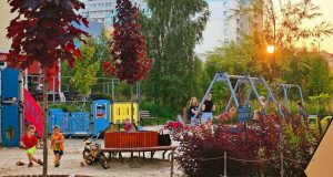 В Ивановской области по программе «Местные инициативы» в этом году реализовано 279 проектов